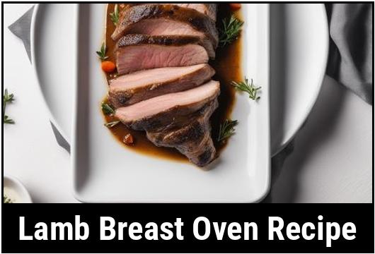 Comprehensive Guide To Lamb Breast Oven Recipe